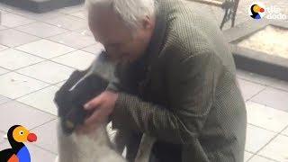 Man Films Himself Reuniting With Dog After 3 Years Apart | The Dodo