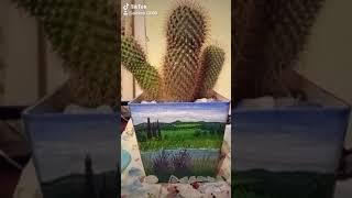 Роспись на цветочном горшке акриловыми красками, своими руками.