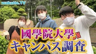 MARCHのすぐ下！國學院大學キャンパス調査！【wakatte TV】#555