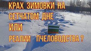 Слабонервным не смотреть! Реалии расхода при зимовке пчёл на сетчатом дне. Расход корма за февраль.