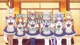 [Dubbed In Chinese] Nekopara (2020) Official Trailer | Gemiuster 猫娘乐园中文配音预告片