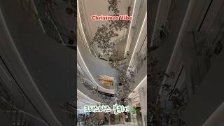 크리스마스 바이브, 신세계 센텀시티몰  Christmas Vibe at Shinsegae Centum City Mall Busan  #christmas #부산