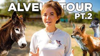 Maya Higa Tours New Animal Sanctuary! (Alveus Tour PT. 2)