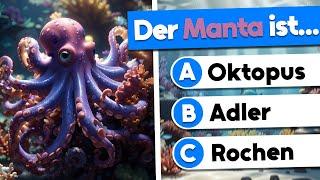 25 spannende Fragen, die dein Allgemeinwissen testen!  | Allgemeinwissen Quiz