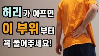 허리,골반,고관절이 아플 때 가장 먼저 풀어줘야하는 장요근(feat.땅콩볼)