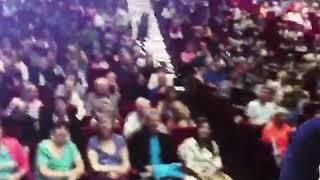 Vegan Cruise Intros