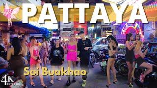  Night Walk Around Craziest Bars on Soi Buakhao, Pattaya 