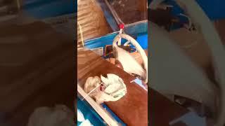 Тюнинг лодки Крым !!!Как было и как стало !!!