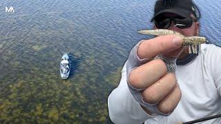 Is the DOA Shrimp the BEST Fishing lure EVER?