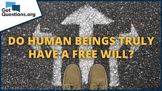 Do human beings truly have a free will? | GotQuestions.org