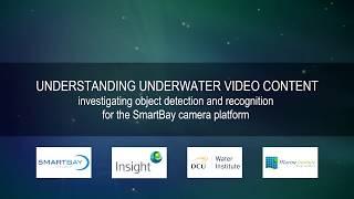 Understanding Underwater Video Content - National Infrastructure Access Programme (SmartBay)