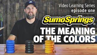 SumoSprings | The Meaning of the Colors | VLS ep. 1