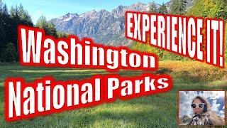 Experience Washington State’s Best National Parks