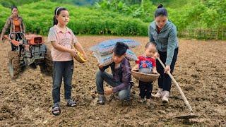 The whole family plants a new corn crop - Daily life of a small family | Hà Tòn Chài