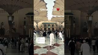 Umrah 2025️ #viralvideo #saudiarabia #shorts #trending #madina #makkah #naat
