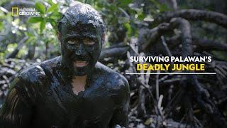 Escaping the Jungle | Primal Survivor | हिंदी | Full Episode | S1 - E1 | Nat Geo