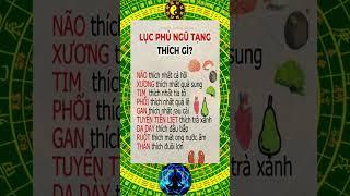 lục phủ ngũ tạng thích gì | Mẹo Sống Khỏe #meosongkhoe #healthy #suckhoe247 #tet2025 #shortvideo