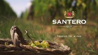 Santero Corporate Video (English) by Uninventiva