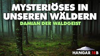  Mysteriöses in unseren Wäldern - Waldgeist 