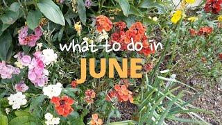 June | Growing Your Own Food