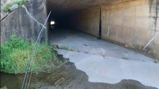 Exploring urban creeks in Alabama. (Creepy tunnel *MA*)