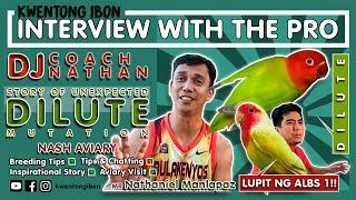 UNEXPECTED DILUTE AFRICAN LOVEBIRDS | KWENTONG IBON MEET DJ COACH NATHAN | AVIARY VISIT