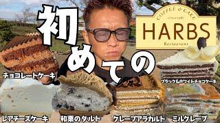 【大食い】初HARBSで食べた過去最高に美味すぎたケーキはこれ‼️【もっぱん  爆食 チートデイ】