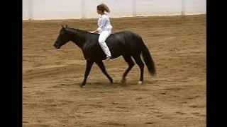 Stacy Westfall and Roxy 2006