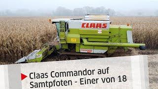 Einer von 18: Claas Commandor 115 CS auf Samtpfoten | profi #Report