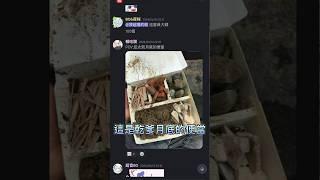 【萊姆薄荷Raimu Minto Ch.】這是乾爹月底的便當！？（笑死 #中文vtuber #vtuber #台v v #shorts
