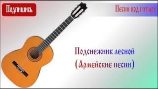 Подснежник лесной (Армейские песни)