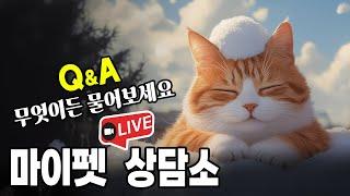 [제217화] 마이펫 라이브 상담소. 고양이 Q n A