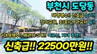 [부천빌라매매] NO.882 부천시 도당동 대형평수 금액대비 방 거실 큼지막 방3개 화장실2개 베란다 2개 장미공원 공원 학교 인접 초급매 엑기스 [도당동빌라]