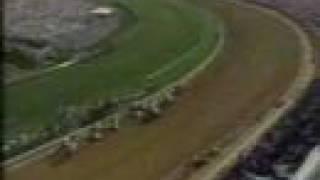 Alysheba - 1987 Kentucky Derby