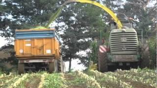 Maishäckseln 2011 - John Deere 7300 in France