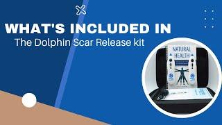 What's included in the Dolphin Neurostim Scar Release Kit