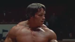 Bodybuilding of the 70s, arnold schwarzenegger, bodybuilding competition, bodybuilding motivation