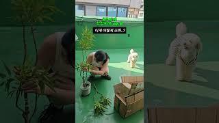 3주안에창업하기ep.8 의문의 택배도착