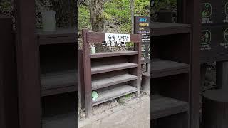 걷기만 해도 몸이 가벼워지는 충청남도 공주의 힐링 명소, 주미산 헬스투어 