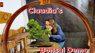 Bonsai Demo Claudia Heinrich