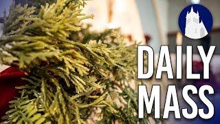 Daily Mass LIVE at St. Mary’s | January 10, 2025