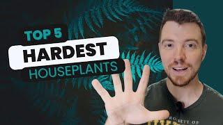 Let's Talk about The Top 5 Hardest Houseplants