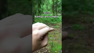 Комары в лесу(( #shorts #юмор #природа #лес #карелия