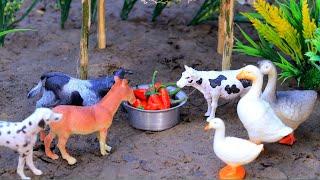 animal video,  matikata, jcb gadi, mini tractor, cartoon video, cattle, tractor | Mar 3, 20257:22 PM