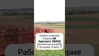 Работа в Европе #вакансии #работавевропе