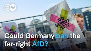 German lawmakers want to ban the far-right AfD party | DW News