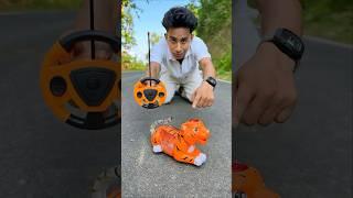 Natun Remote Control Lion Unboxing