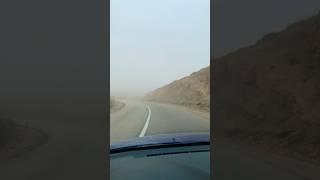 It was so foggy that I could not see in front of me.