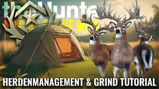 Komplettguide zum HERDENMANAGEMENT und GRIND SETUP! | theHunter Call of the Wild