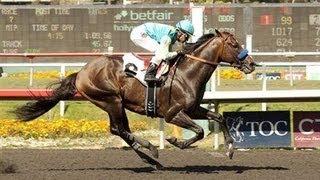 Paynter - 2013 Hollywood Park Allowance Race